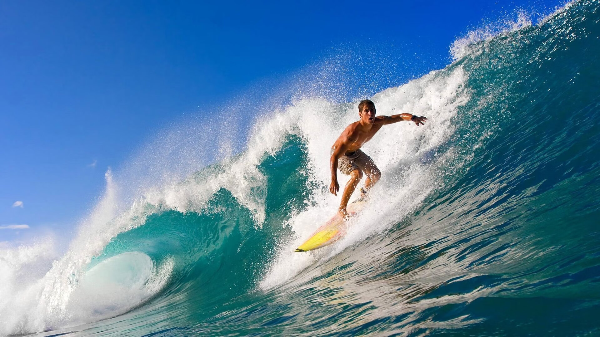 澳大利亚队团队赛制解析：从战术到团队精神的深度解构，澳大利亚小组赛